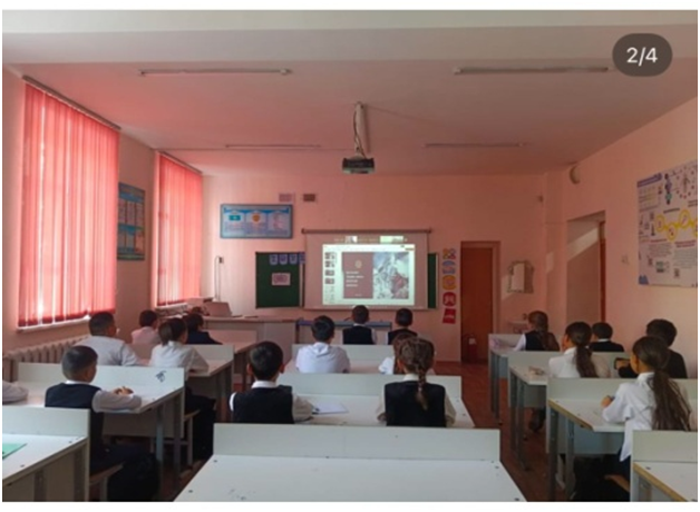 “Абайлаңыз, қар көшкіні”, “ Қауіпсіз Жаңа жыл” тақырыбында онлайн сабақтар өткізілді